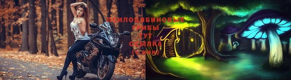 эйфоретик Вязники