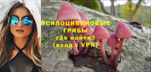 спайс Вяземский
