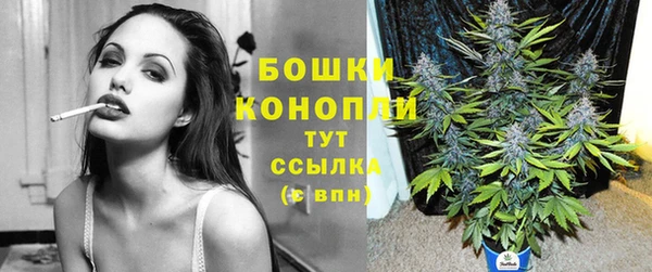 spice Вязьма