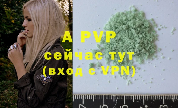 спайс Вяземский