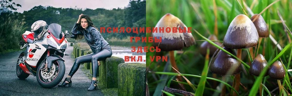 эйфоретик Вязники