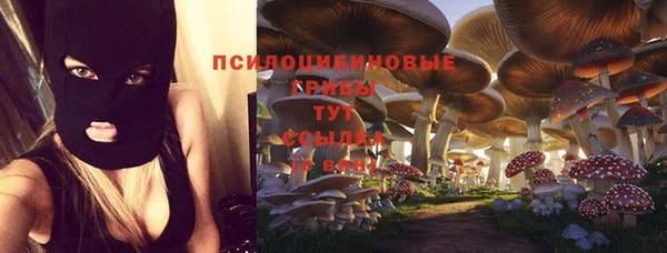 spice Вязьма