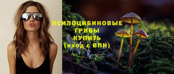спайс Вяземский