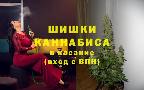 спайс Вяземский