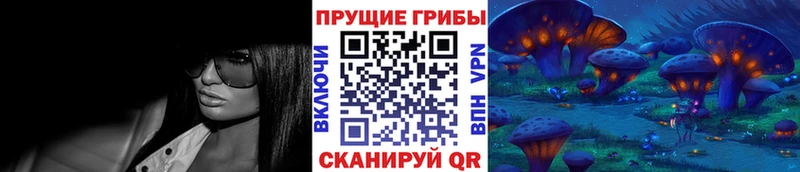 Псилоцибиновые грибы Psilocybine cubensis  Купить где  Инта 